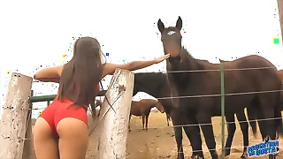 117 horse porn videos